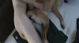 animal-fuck,guy