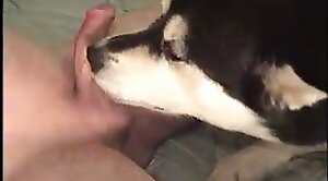 dog-xxx,sex-movie